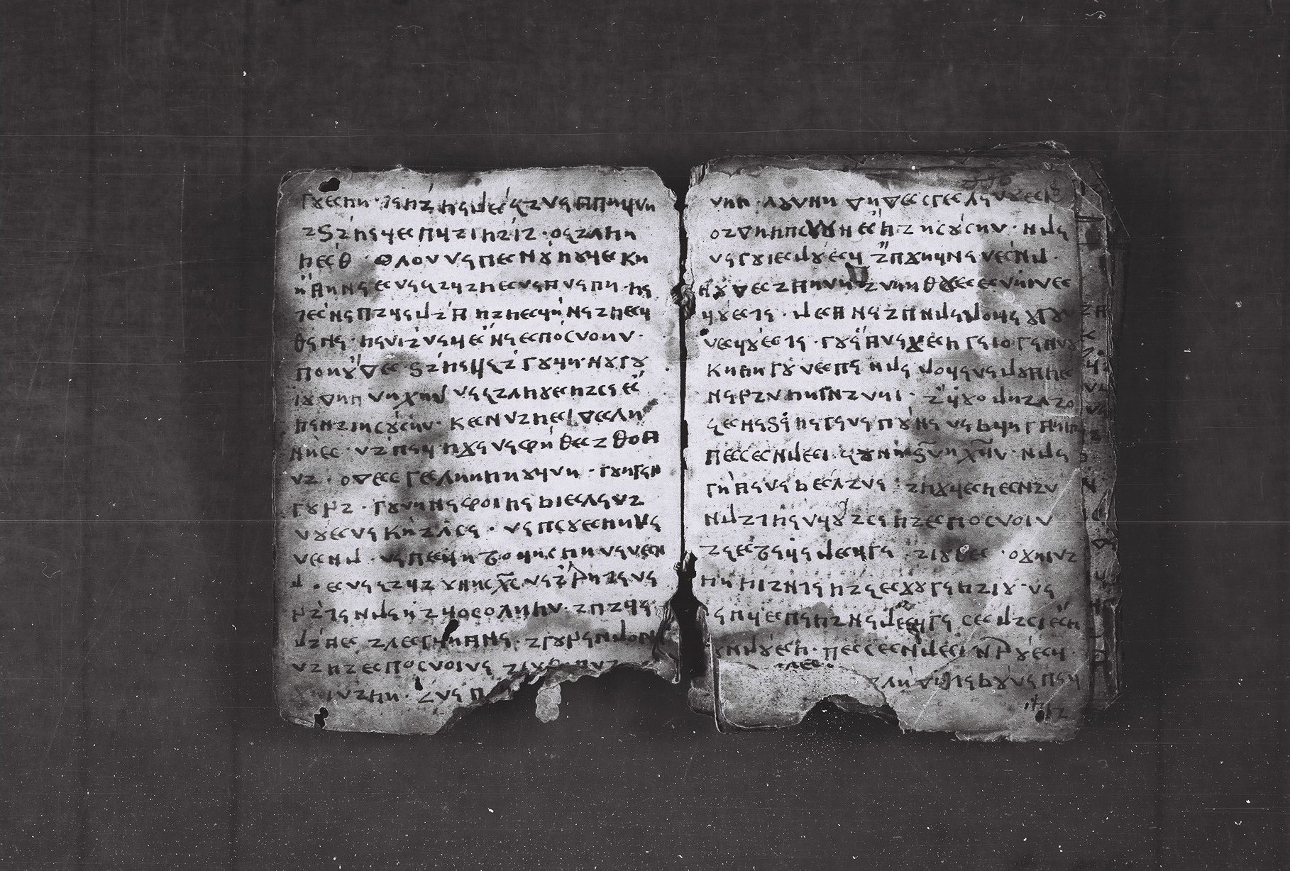 Elbasan Gospel Manuscript p13 and 14
